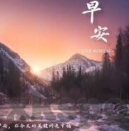 智利甲足球比分-智利甲足球比分,激情与策略交织的赛场风云