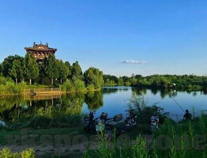 足球比分金额-足球比分背后的金额博弈,一场数字与资本的狂欢盛宴